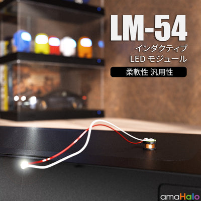 LM-54 Inductive LED Module (4 Pieces)